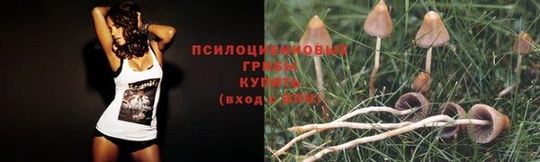 первитин Надым