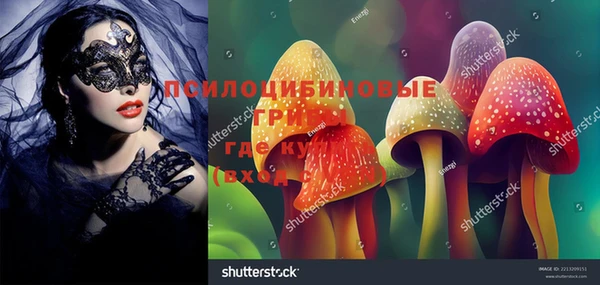 ПСИЛОЦИБИНОВЫЕ ГРИБЫ Нефтекумск