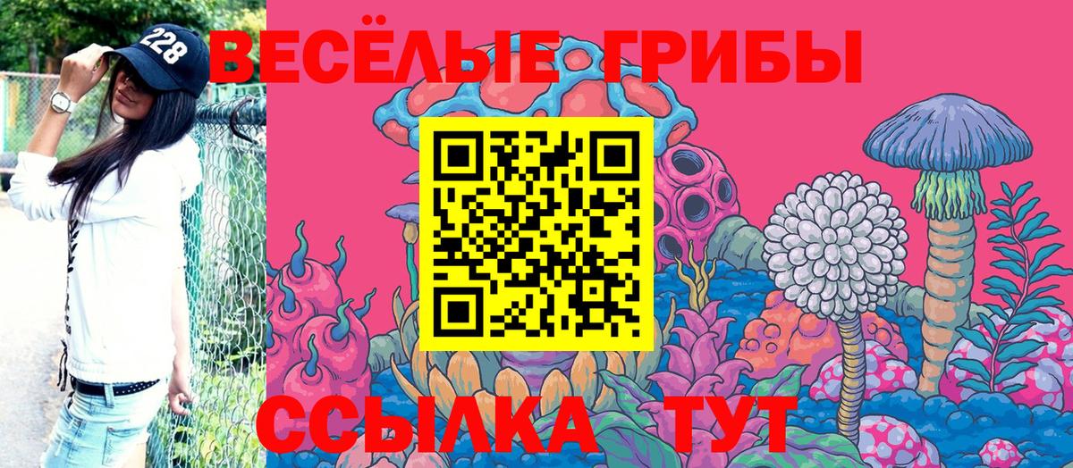 Псилоцибиновые грибы MAGIC MUSHROOMS Кинешма