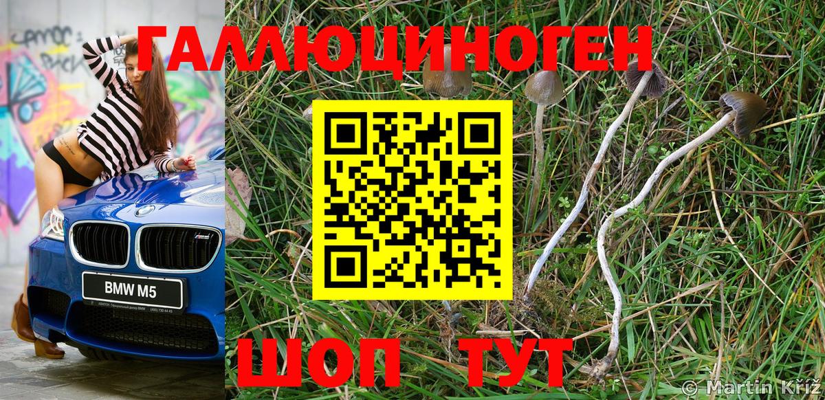 Псилоцибиновые грибы прущие грибы Кинешма