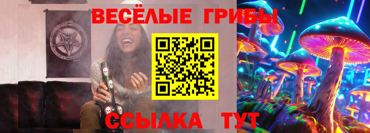 Кинешма  Галлюциногенные грибы Magic Shrooms  Вход с VPN  Галлюциногенные грибы мицелий 