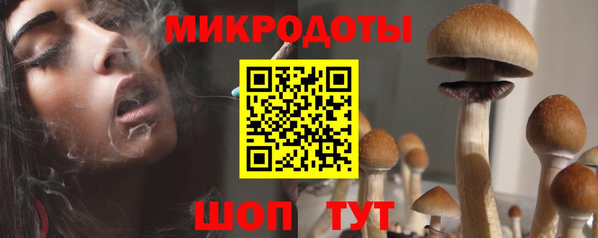 Псилоцибиновые грибы прущие грибы  Псилоцибиновые грибы Magic Shrooms  Кинешма 